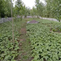 زمین ۵۸۰متری دور محصور