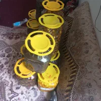 ترشیجات محلی درجه یک ورشته