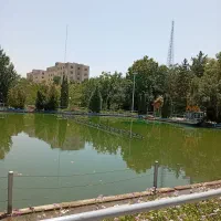 یکعددخط نسبتارندفروشی