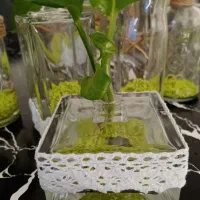 هدیه ای ماندگار ،کار دست