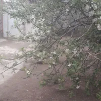 خانه زیبا و بزرگ روستایی فروش فوری زیر قیمت