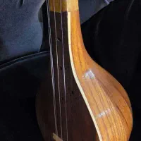 سه تار مرغوب