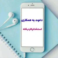 کار در منزل برای خانم ها آنلاین شاپ