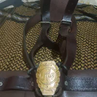 همایل علومت