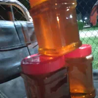 عسل فصل بهار ابدانان