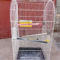 قفس جا عروس هلندی