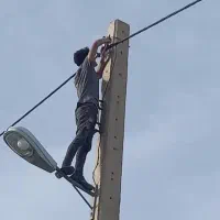 گروه  فنی مهندسی برق  تسلا