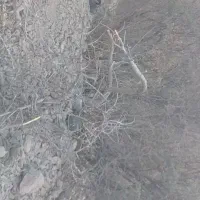 اجاره منزل مسکونی