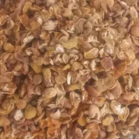 برگ زرد آلو