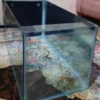 اکواریوم یک متری مفت مفت