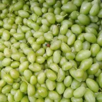 غوره