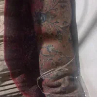فرس