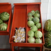 استند ممبری میوه فروشی