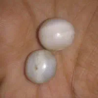 مهره برد اصلی