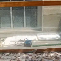 آکواریوم