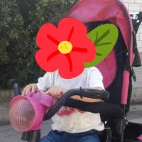 سه چرخه کالسکه