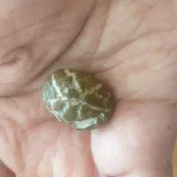 مهره گبری
