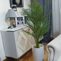 گل مصنوعی|گل مصنوعی|نورآباد, |دیوار
