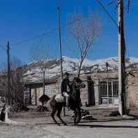 اسب