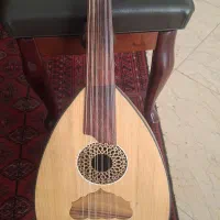عود نوجوان ۳/۴