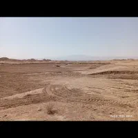 زمین-دیم