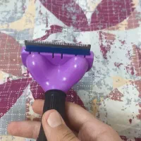 برس دیشینگ گربه و سگ