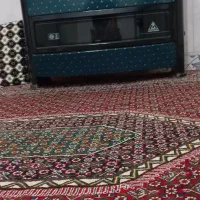 بخاری