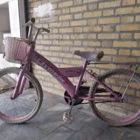 دوچرخه ۲۰ تمیز