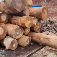 خریدار انواع چوب