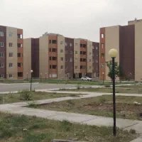 پیمانکارمستقل فضای سبز. جهت کاشت درخت مثمرو...