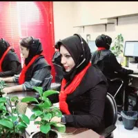 لوله بازکنی فنرزن سراسراستان (65%تخفیف)بدون تعطیلی