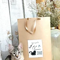دو عدد بچه گربه 4ماهه اروم و مهربون