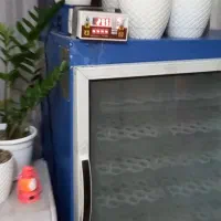 دستگاه جوجه کشی بلدرچین دماوند588تای