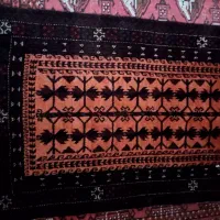 پادری پشمی