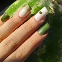 گل ودوره کامل آموزش کاشت ویژه بانوان