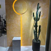دکور و ویترین مزون فروشگاه لباس زنانه