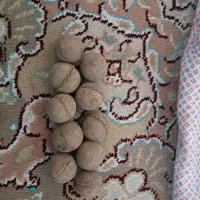 تقویت خاک پلنت جی بی ال