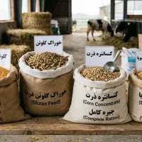 انواع گلوتن و محصولات مقوی خوراک دام و طیور