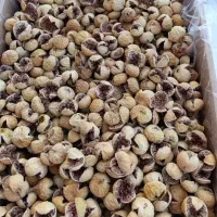 بدون واسطه کلی و جزیی