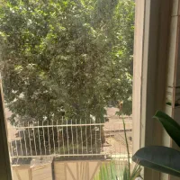 ۱۶۰ متر /بر ۱۰/جنوبی /کاظمی
