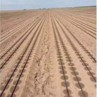 لوله قطره ای و نصب نوار تیپ