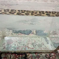 اکواریوم