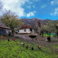 خانه روستایی نزدیک شهرستان بهار،تا همدان نیم ساعته