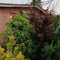5-اتاق-اجاره-ای-روزانه-شبانه-مناسب-آگهی-رو-بخونید