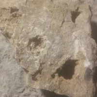 انواع سنگ طلا دا وجیوه