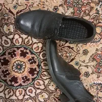 تعدادی کفش کتانی