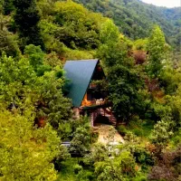 کد++کیایی