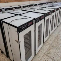 دستگاه جوجه کشی- با سیستم ضدعفونی UV