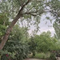 باغ ۷۴۰متری
