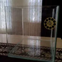 آکواریوم سالم و تمیز